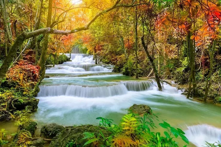 cascade-majestueuse-coloree-dans-foret-du-parc-national-pendant-automne-image_554837-641